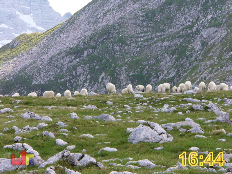 Tour Reiteralpe 2005